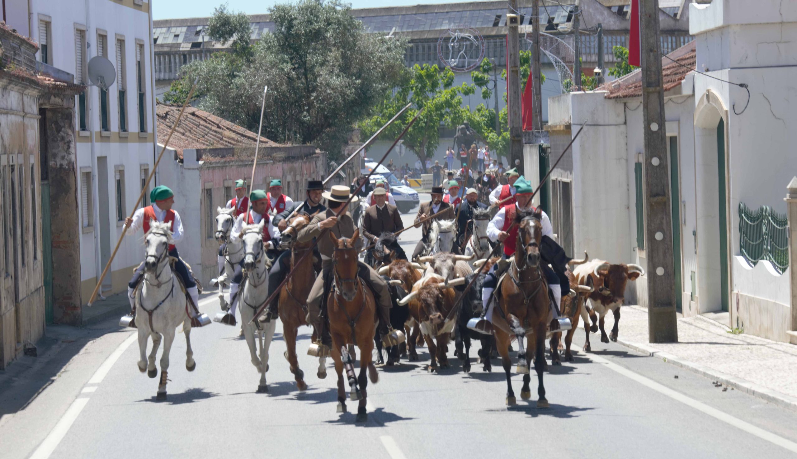 Ascensão Na Chamusca De 13 A 21 De Maio Touro E Ouro 