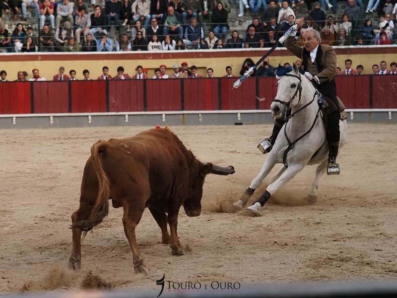 João Salgueiro pai poderá reaparecer no 10 de junho de Santarém