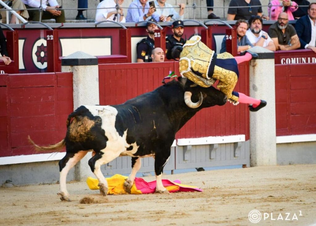 Forte cornada de Serafín Marín marca corrida deste Domingo em Las Ventas (c/parte médico)