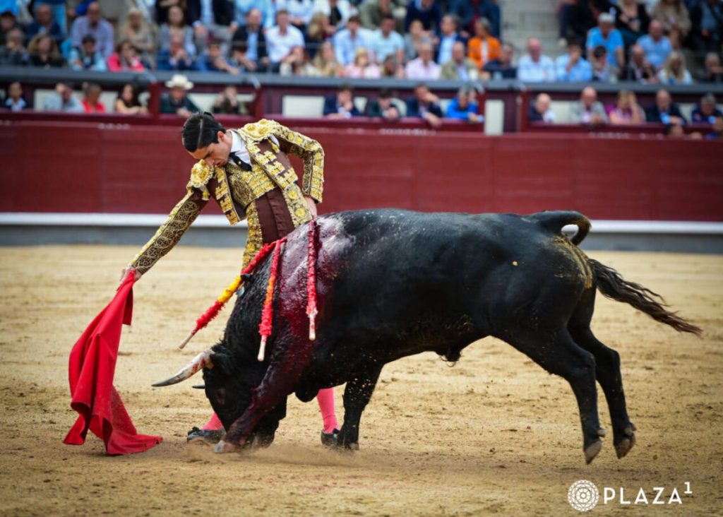 El Mene fez o melhor da novilhada de ontem em Madrid perante quase 20.000 espectadores
