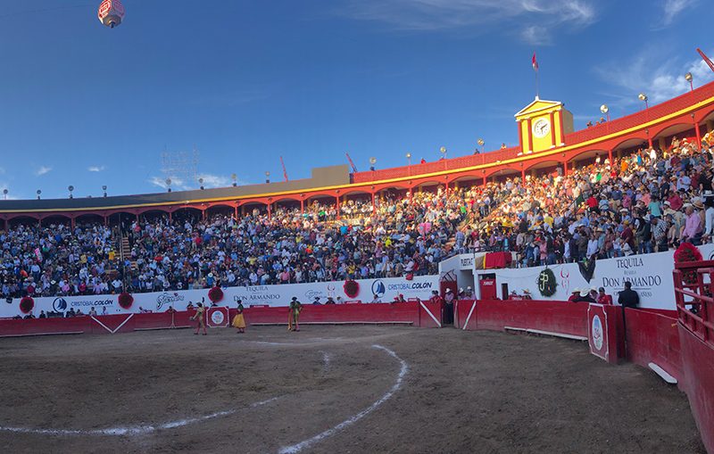 Carnaval de Autlán de La Grana com cartéis definidos