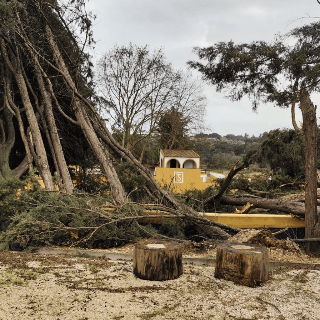 Quinta de Rui Salvador atingida pela tempestade