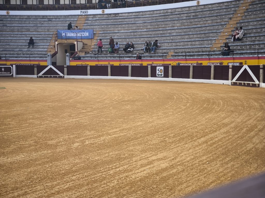 Acompanhe em DIRETO a corrida de Almendralejo