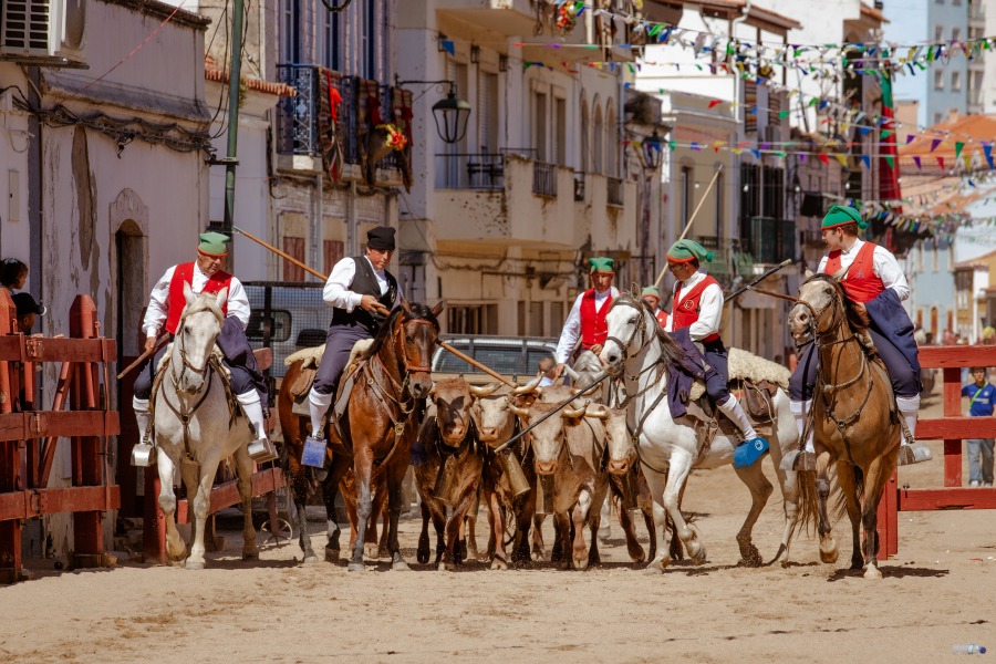Azambuja volta a celebrar a tradição taurina na Centenária Feira de Maio