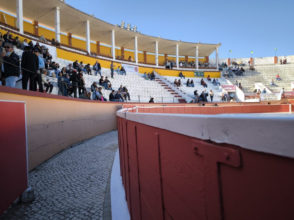 Acompanhe em DIRETO a corrida do Montijo