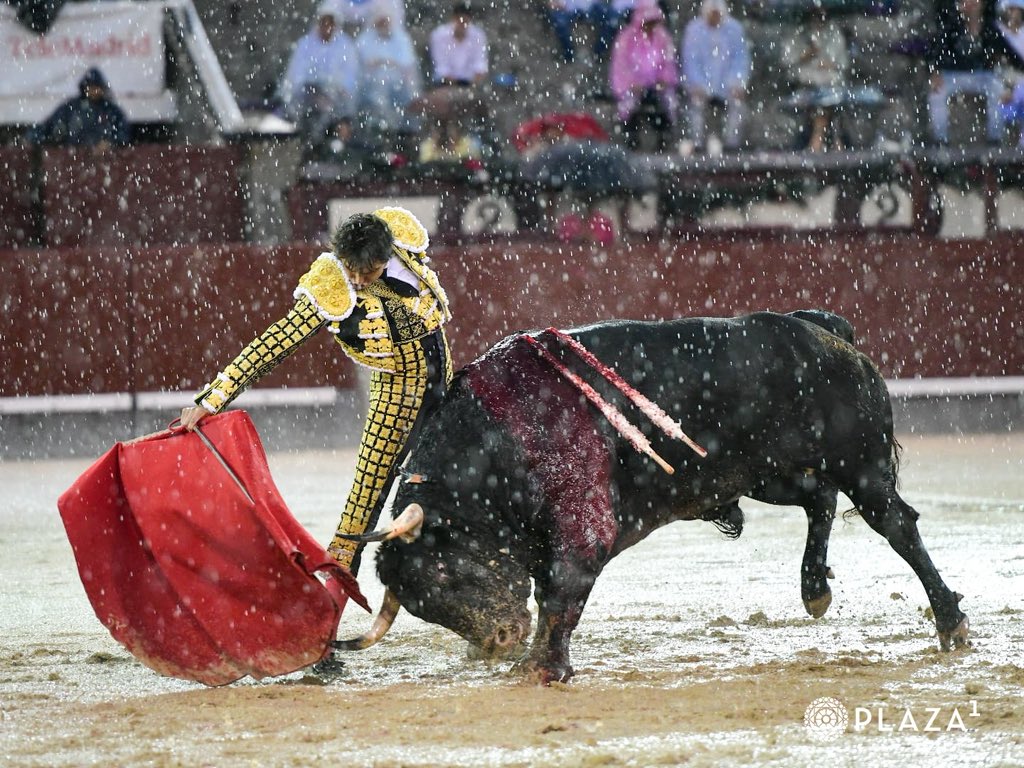 Dilúvio sem orelhas marca Beneficência em Madrid