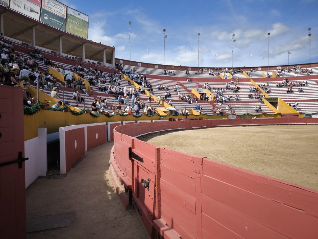 Acompanhe em DIRETO a corrida de Santarém