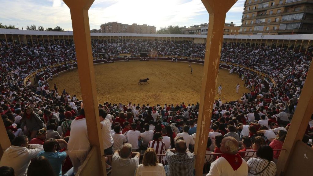 Tudela com novilhada, corrida de touros e outra de rejoneo