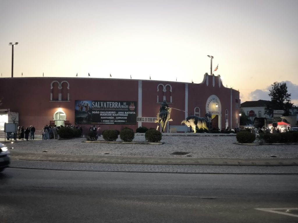 Acompanhe em DIRETO a corrida de Salvaterra de Magos