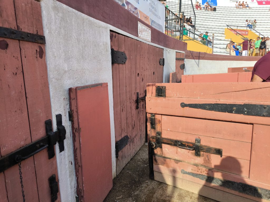 Acompanhe em DIRETO a Corrida de Coruche