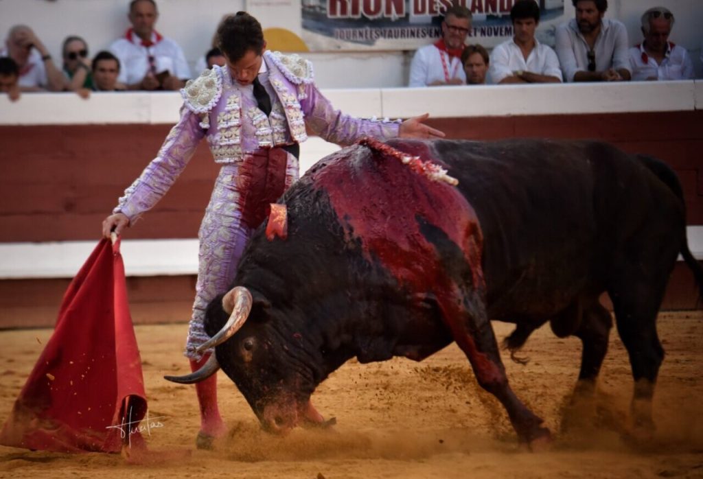 Orelha para Luque e Borja Jiménez na primeira de Dax