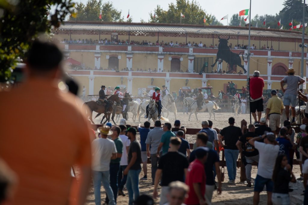 Feira de Outubro atrai milhares de visitantes a Vila Franca de Xira e regista cinco colhidas por toiros