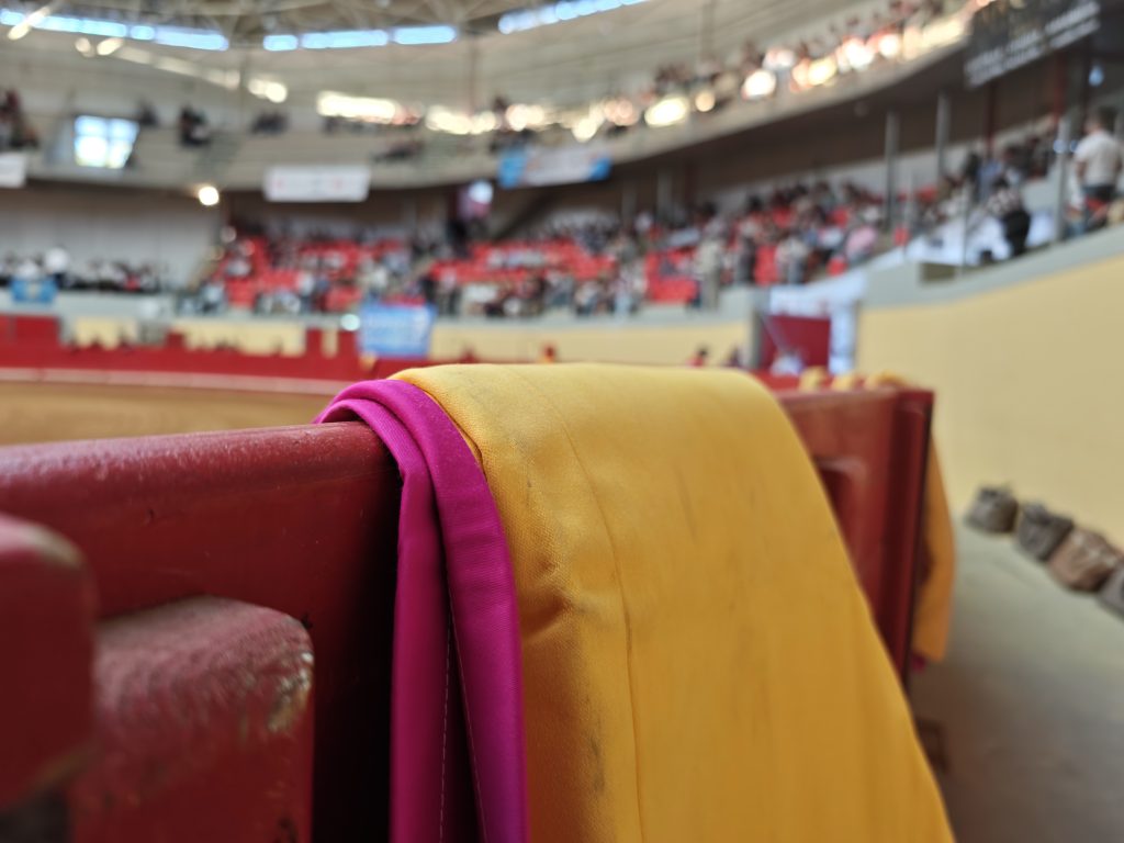 Acompanhante em DIRETO a corrida de Évora