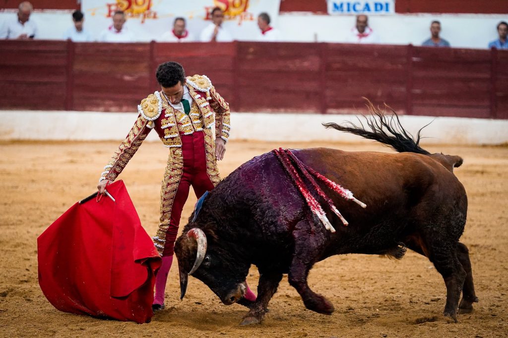 David de Miranda indulta touro de Calejo Pires em Zafra