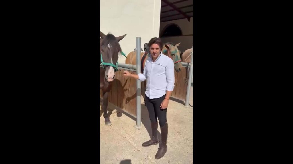 Diego Ventura mostra recuperação dos cavalos após grave acidente e deixa boas notícias